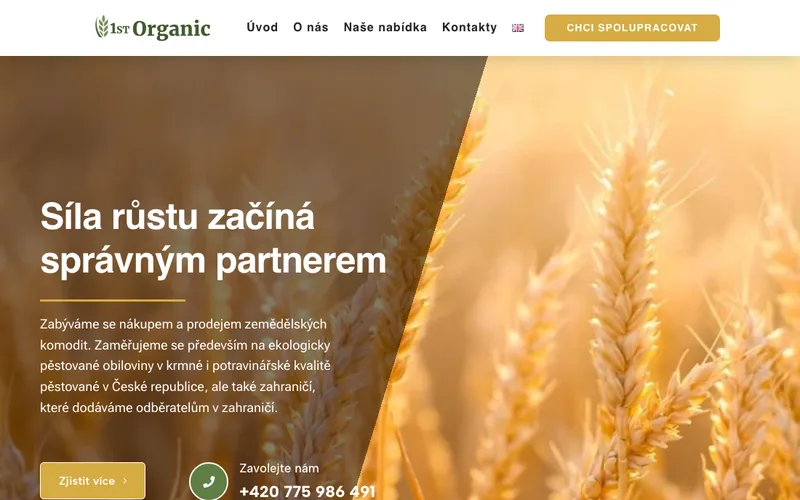 Náhled webu 1st Organic