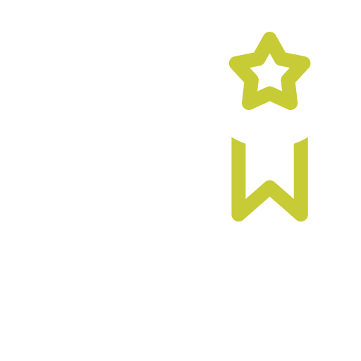 customer-review (1)